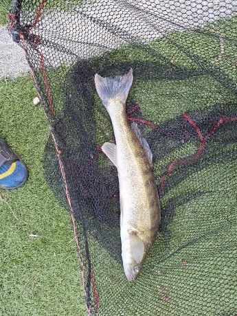 IMG-20260709-WA0000